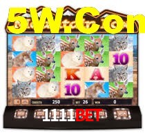 1111bet,1111bet login